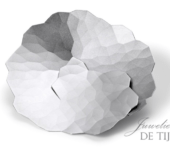 Gouden of platina Niessing broche Topia ®