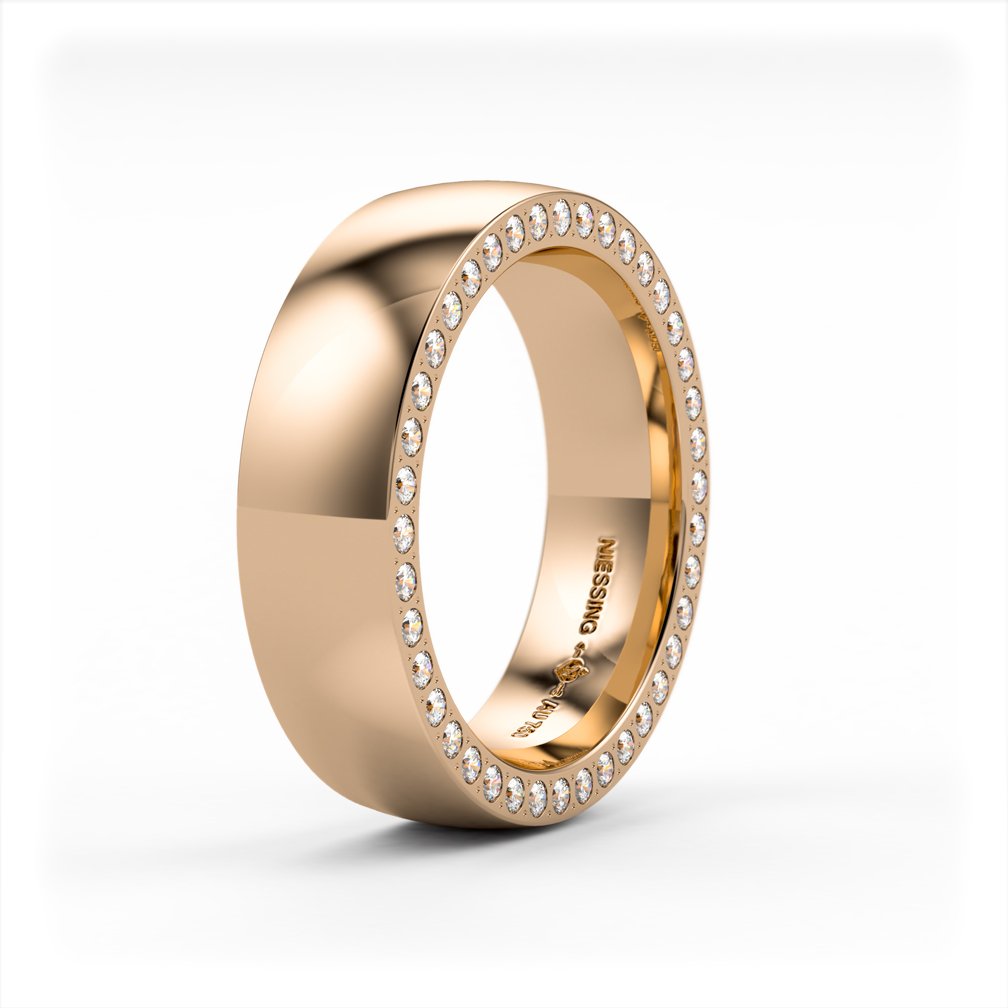 Satellite Orbit ring