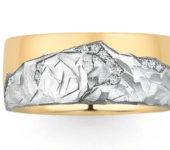 Bicolor-ringen-Alpen-met-briljanten