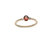 Gouden ring granaat